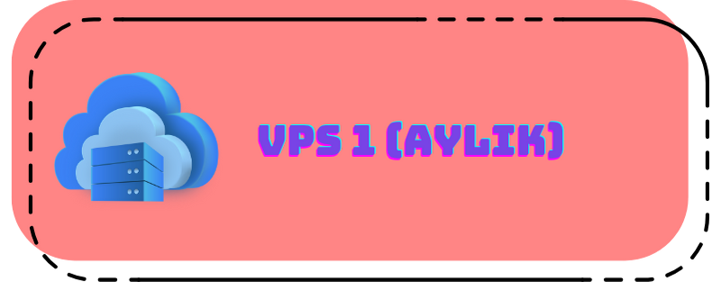 VPS 1 (Aylık)